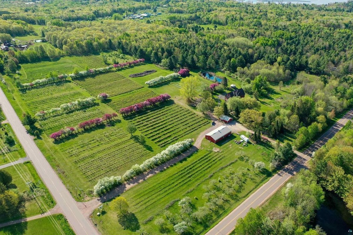 Aerial view of the farm's rows and buildings along County Highway J.
