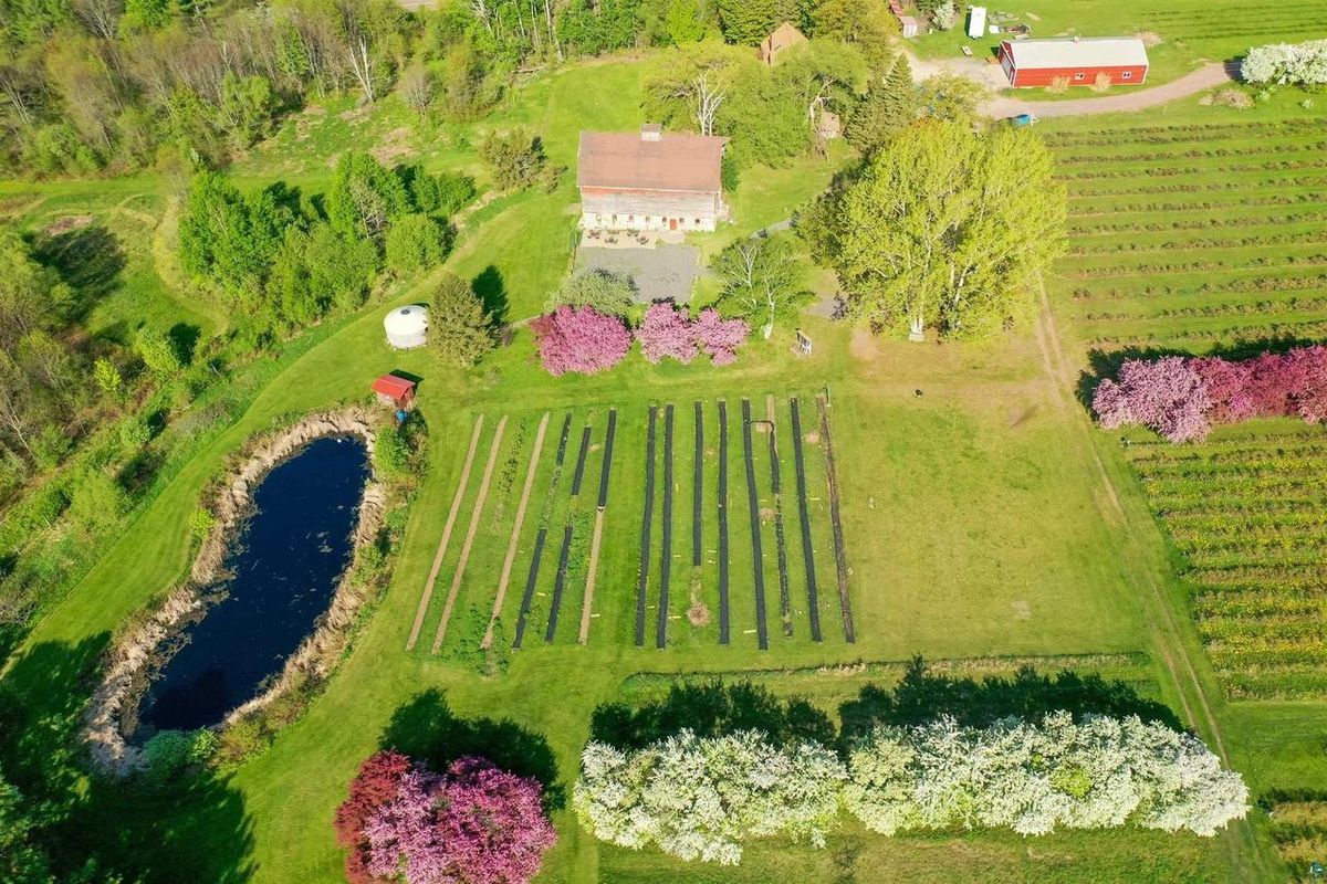 Aerial view of the house beside the pond, with garden rows, blossoming trees, and the fruit rows beyond.