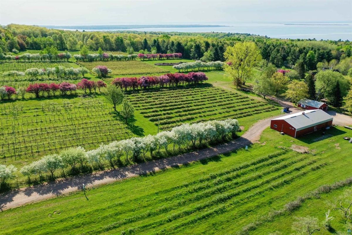 Aerial view of the farm's blossoming rows and red pole barn, with Lake Superior along the horizon beyond the trees.